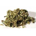 Mugwort Cut (Artemisia Vulgaris) - Neatos Elements