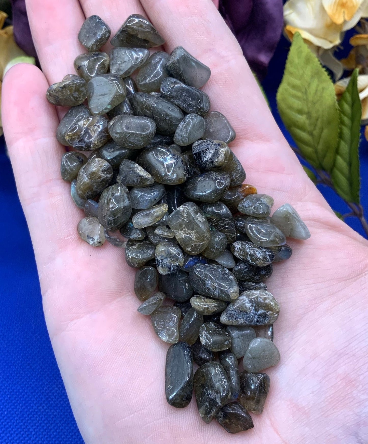 Labradorite Chrystal Chips - Medium Small - AAA Grade - Neatos Elements