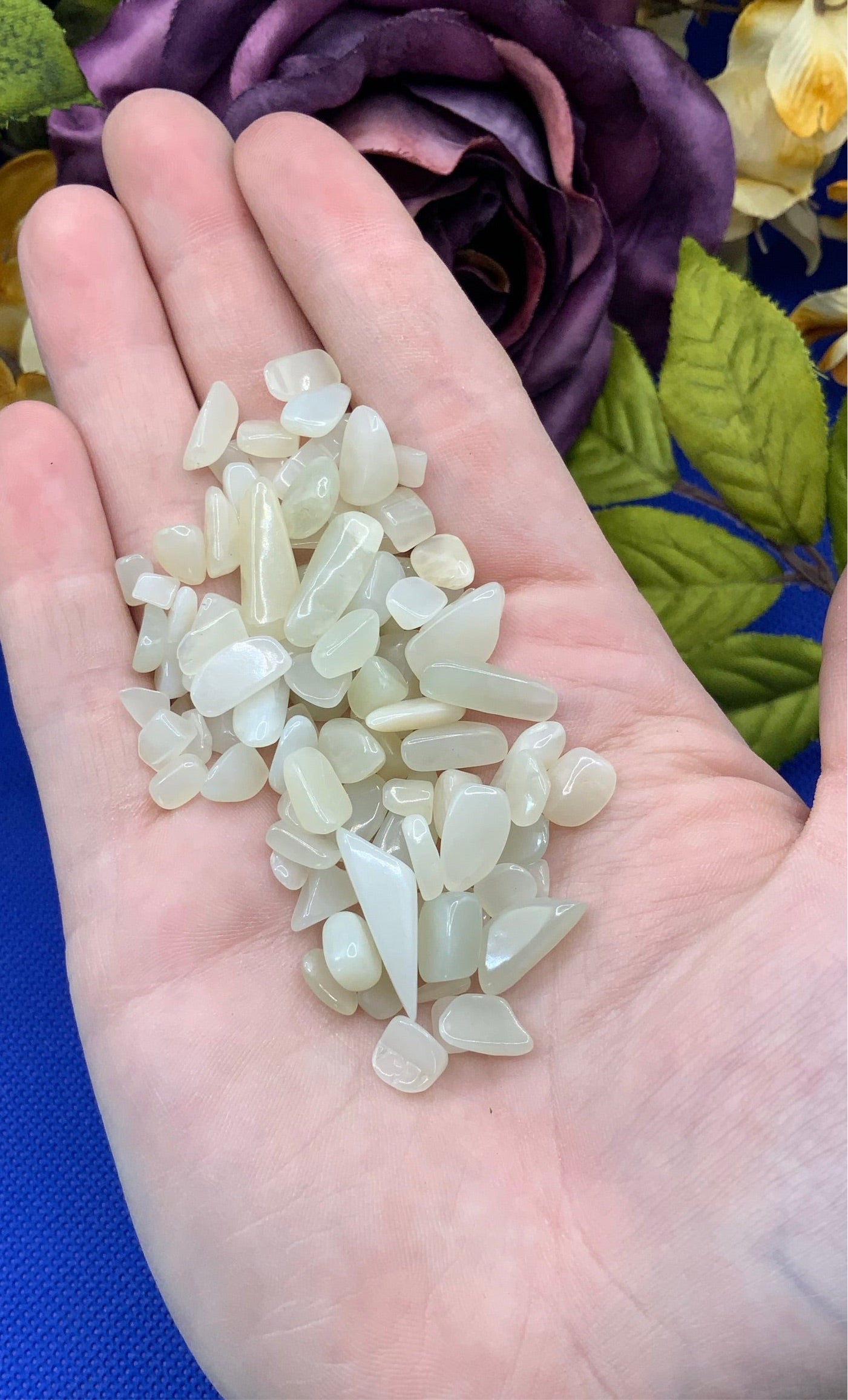 Jade Crystal Chips - Medium - A Grade - Neatos Elements