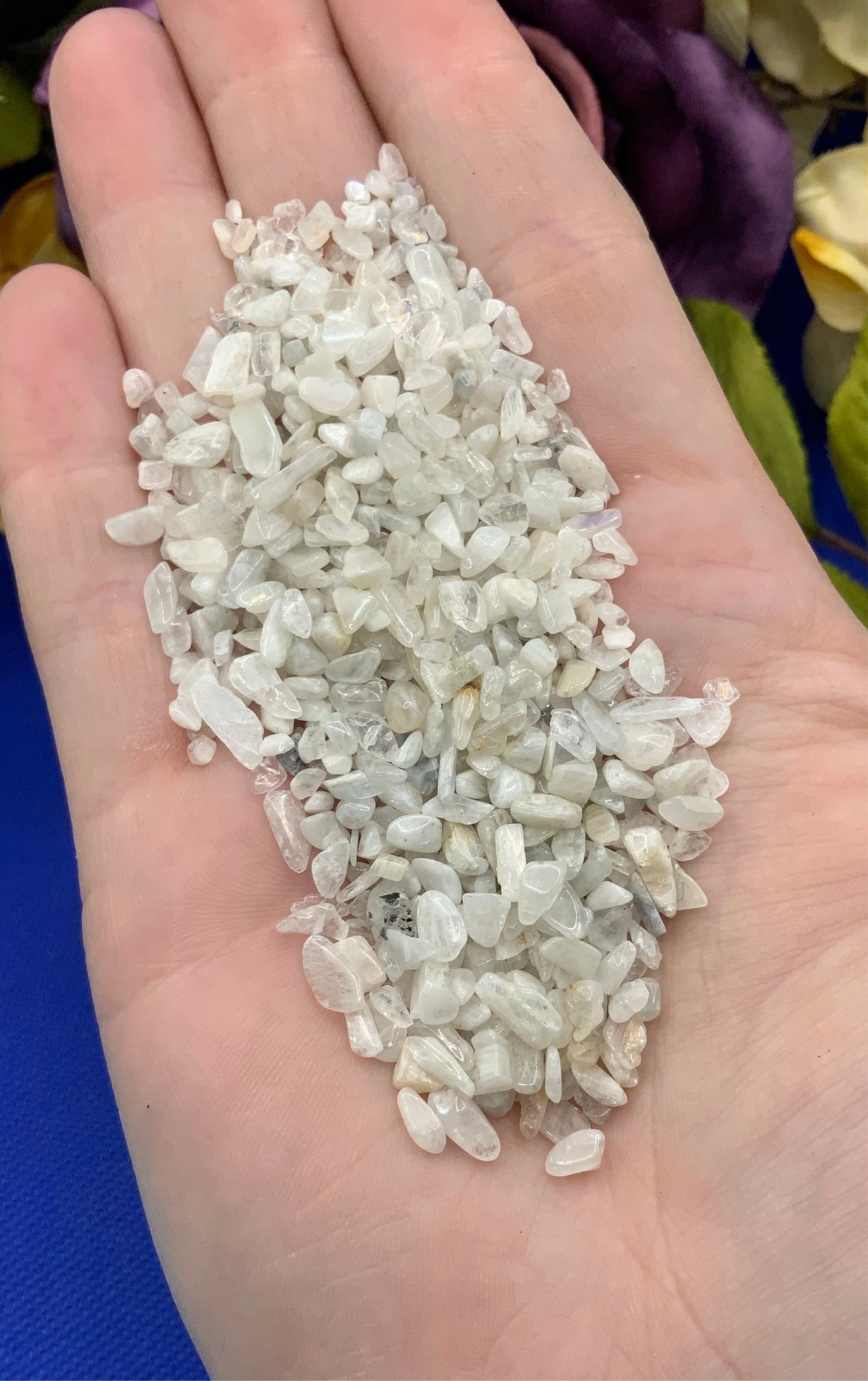 White Moonstone Crystal Chips - XSmall - A Grade - Neatos Elements