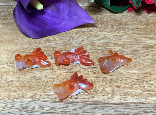 Carnelian Fishes