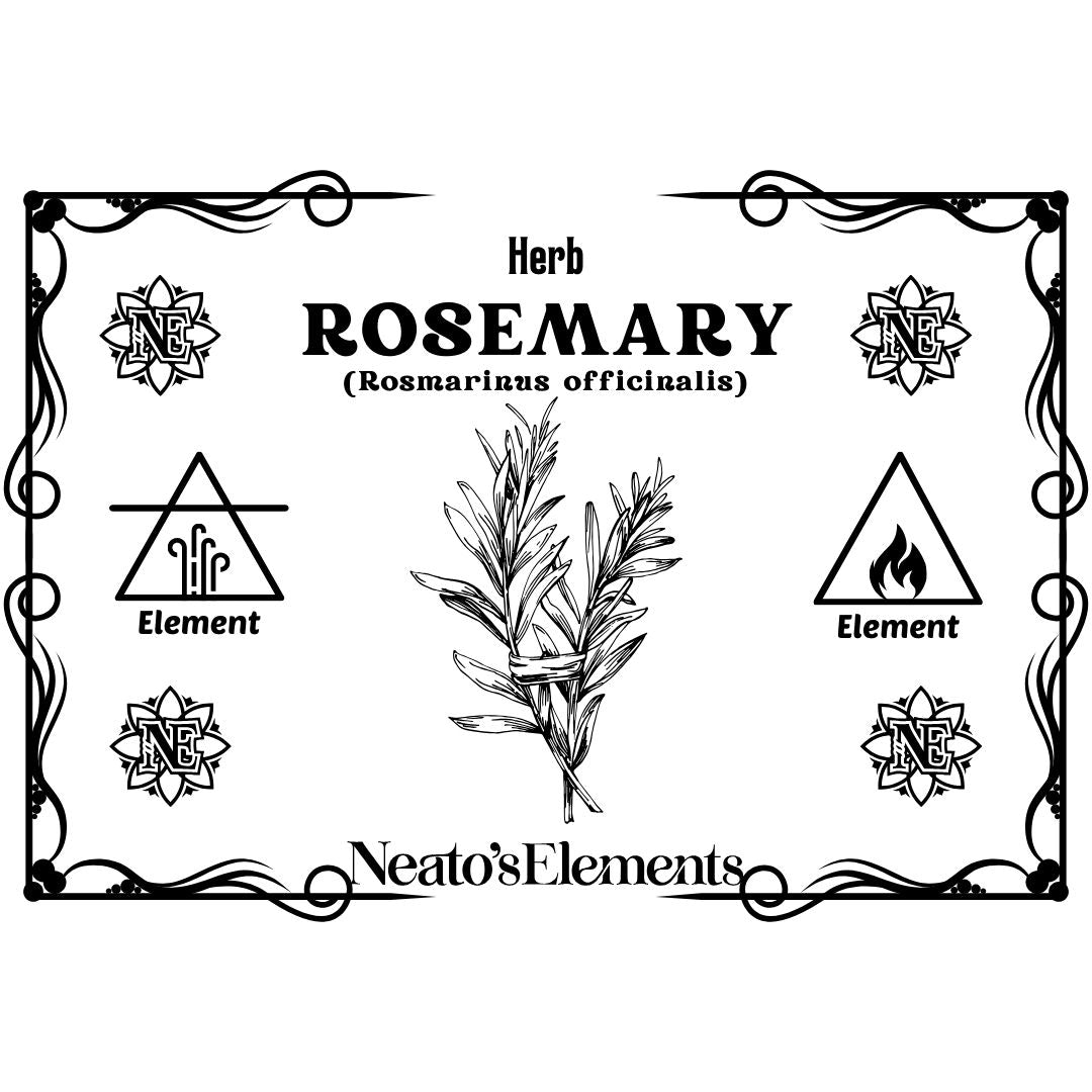 Rosemary PDF Download