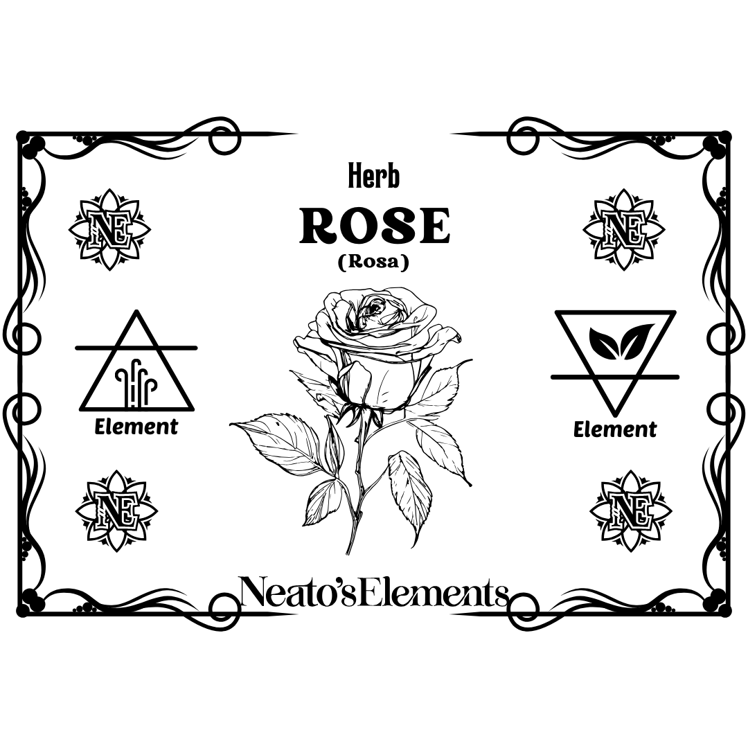 Rose PDF Download