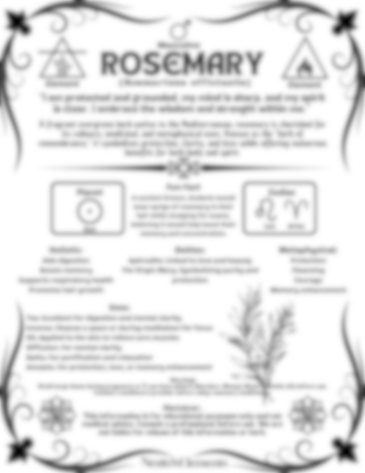 Rose PDF Download