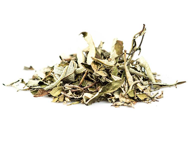 Yerba Santa Loose Leaves - Neatos Elements