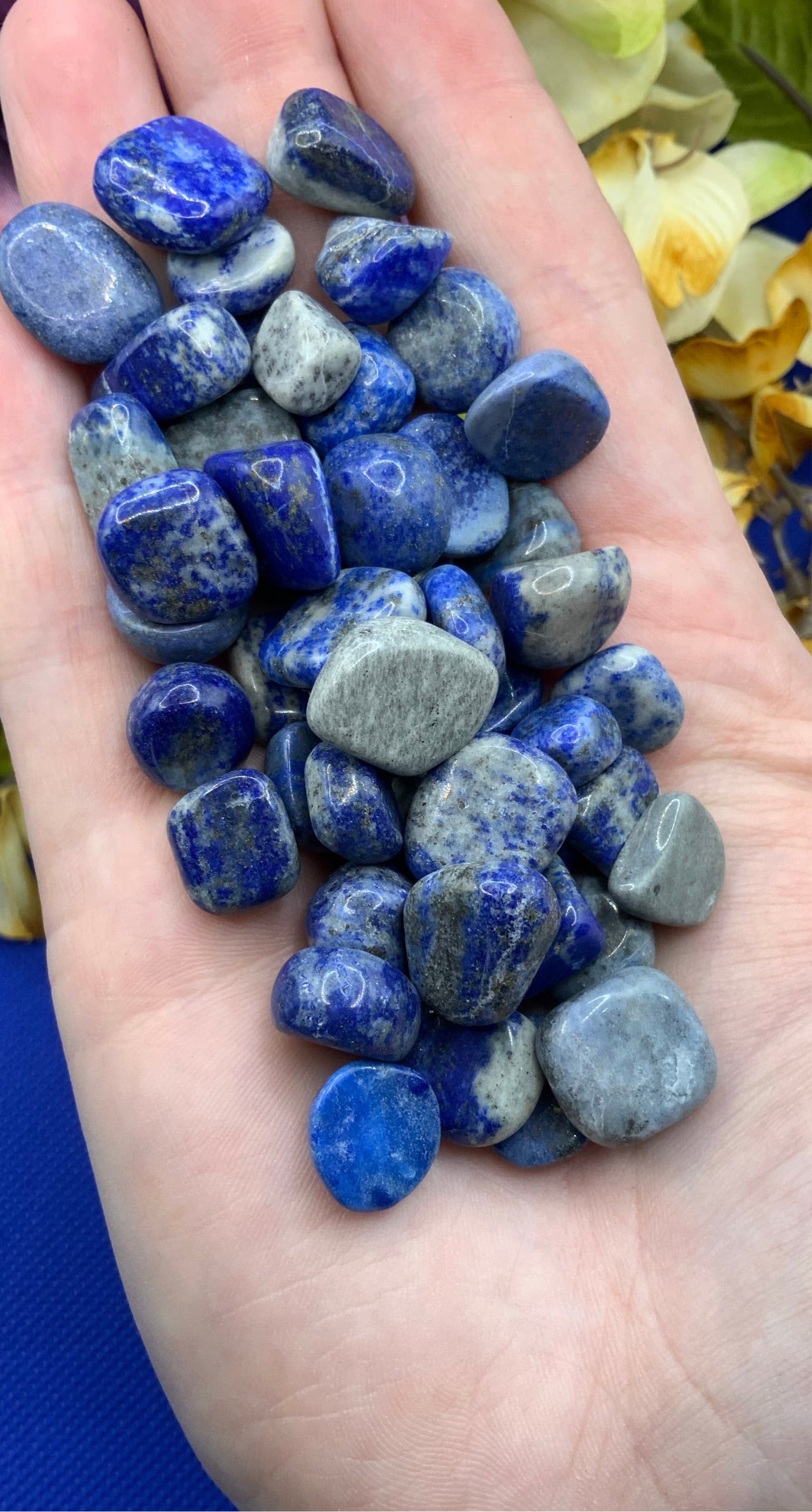 Lapis Lazuli Crystal Chips - Large - A Grade - Neatos Elements