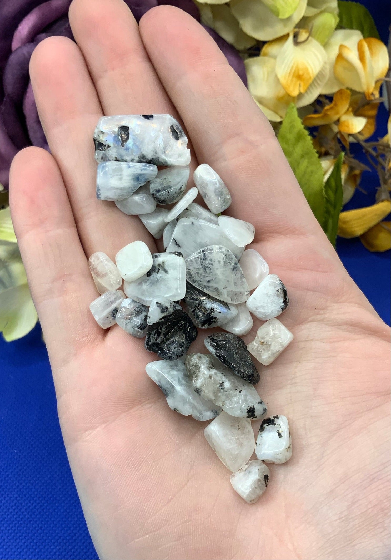 Rainbow Moonstone Crystal Chips - Medium/Small - A Grade - Neatos Elements