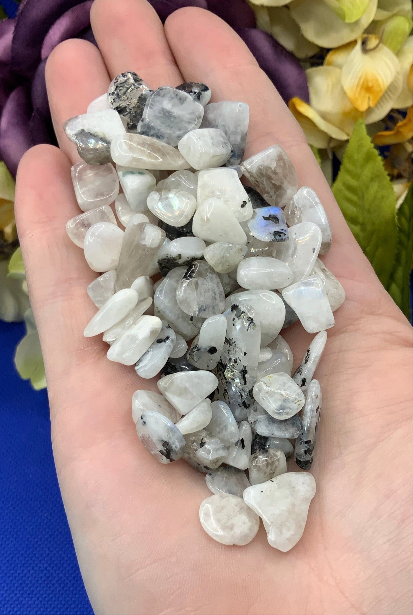 Rainbow Moonstone Crystal Chips - Medium/Small - A Grade - Neatos Elements