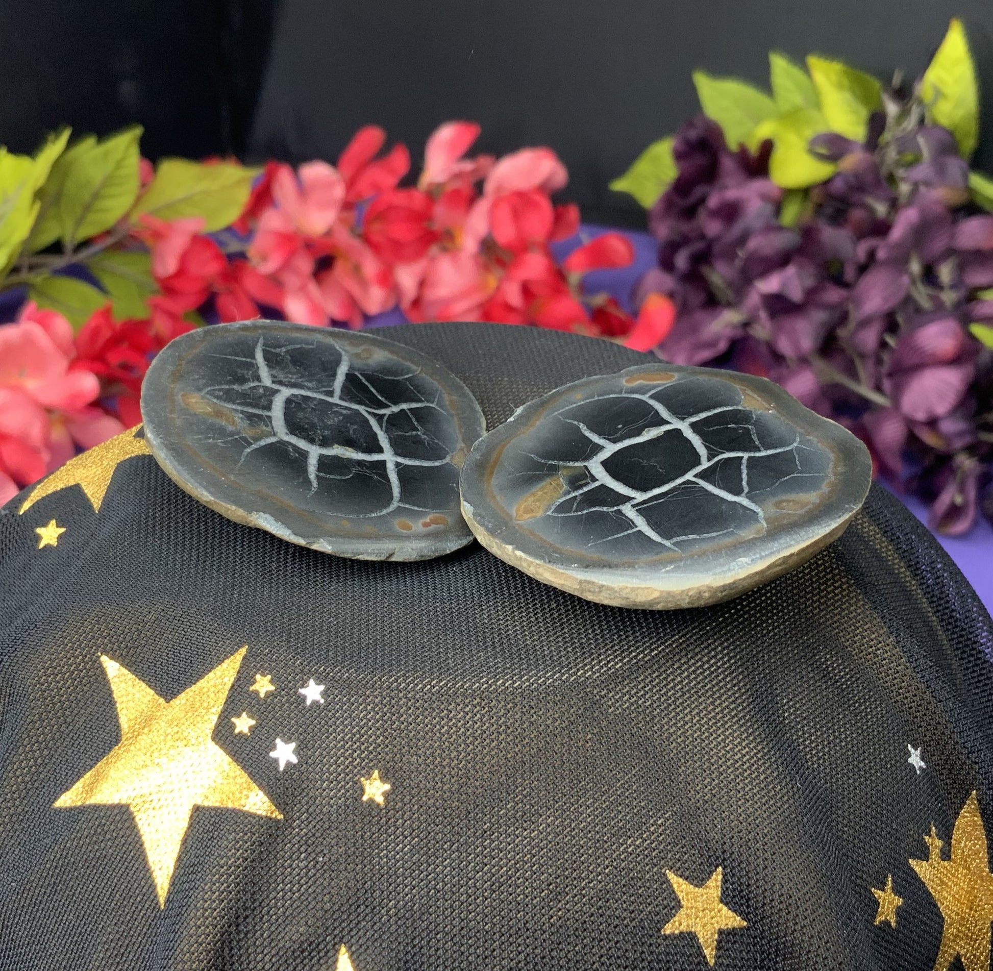 Septarian Slices - Neatos Elements
