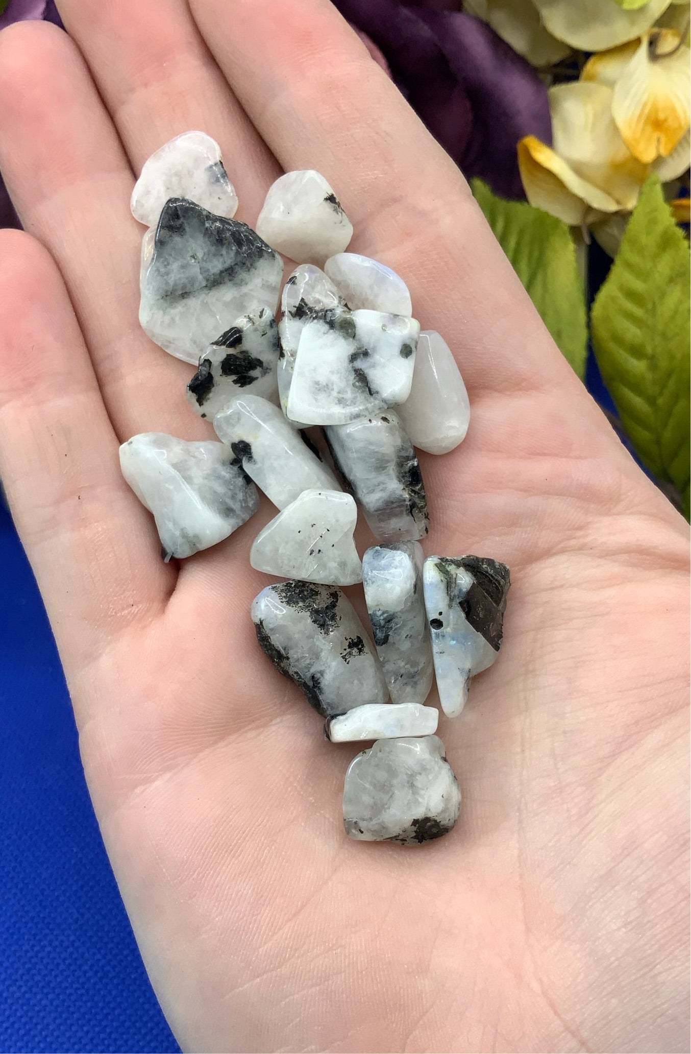 Rainbow Moonstone Crystal Chips - Medium - A Grade - Neatos Elements