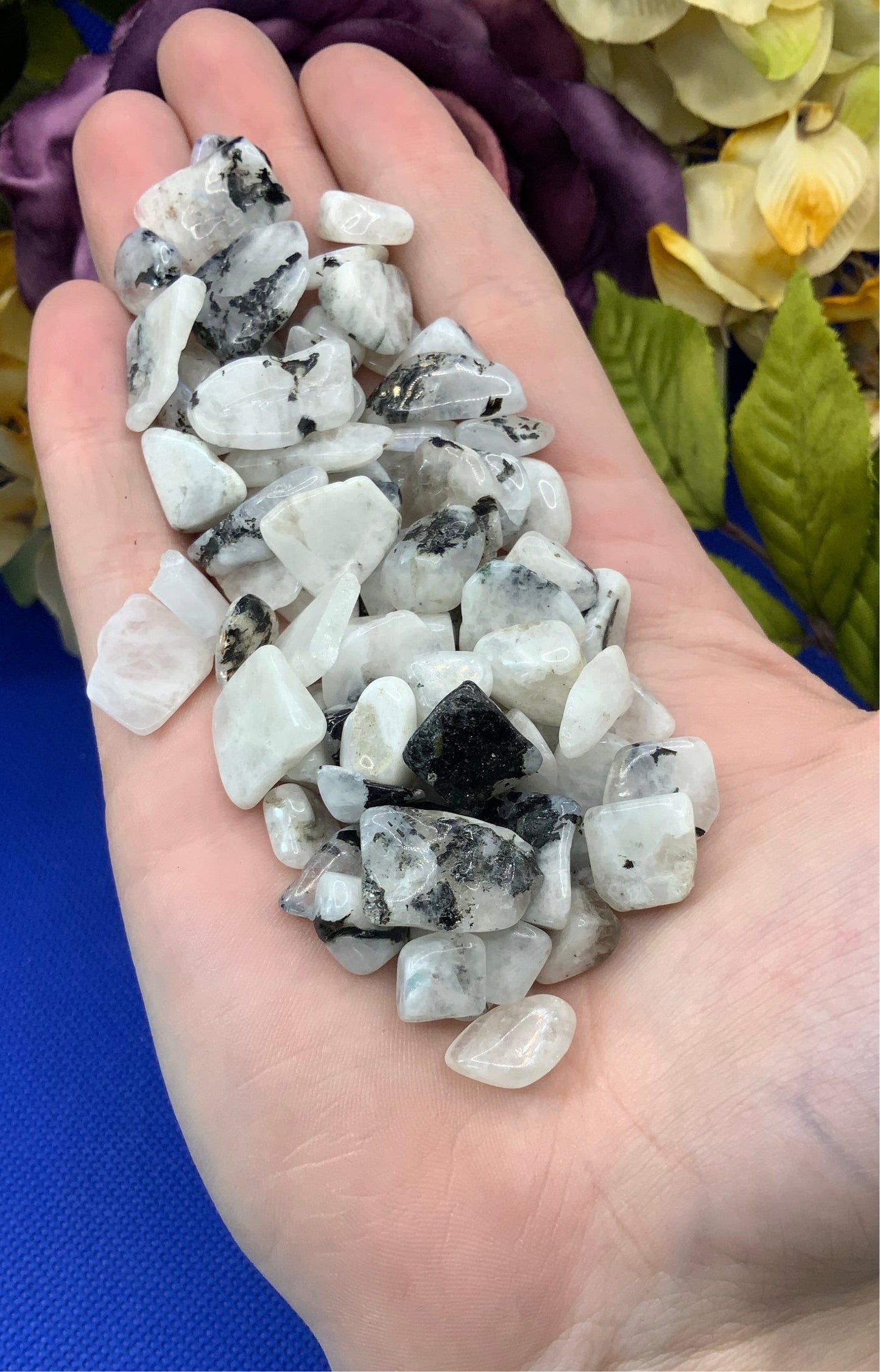 Rainbow Moonstone Crystal Chips - Medium - A Grade - Neatos Elements